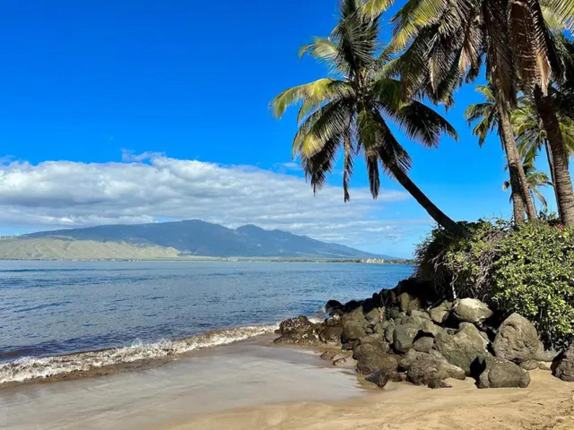 Cozy Maui Studio Retreat Just Steps To The Sand! キヘイ エクステリア 写真